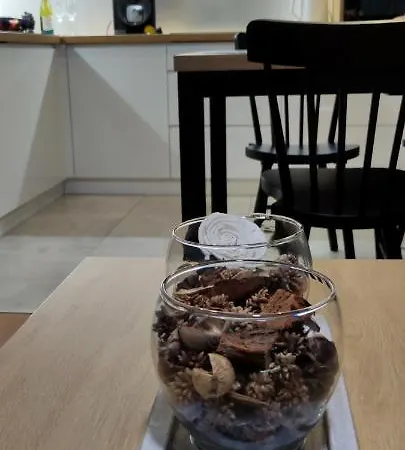 Appartamento Nowoczesny Z Widokiem Na Park Rzeszów