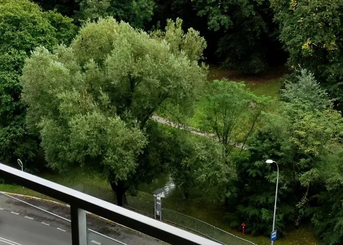 Nowoczesny Z Widokiem Na Park